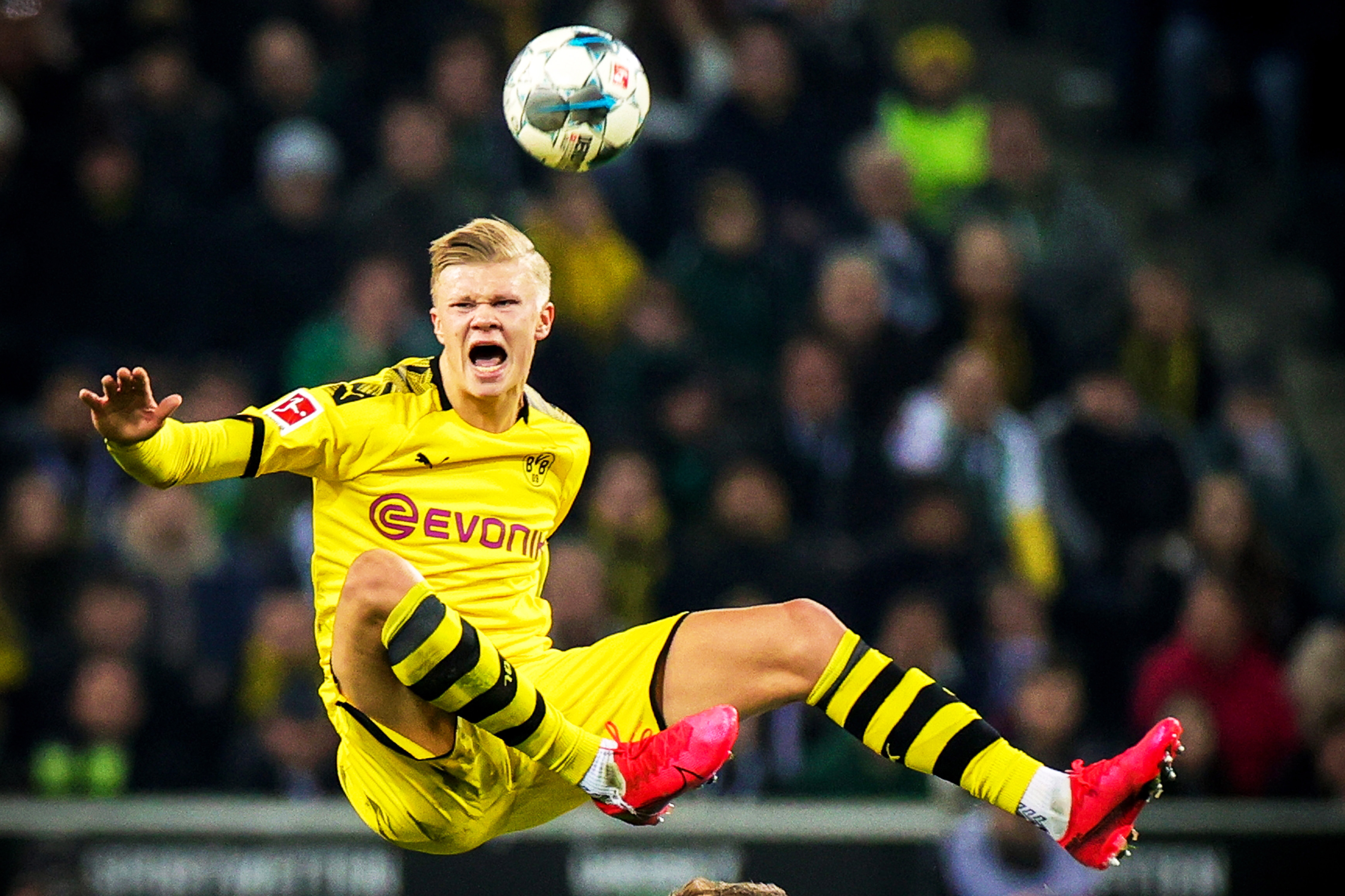 后场防线的 后场防线的